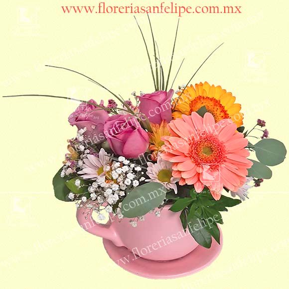 Arreglo en Taza